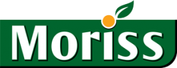 موریس